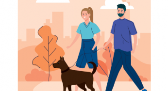 ¿Tienes asegurado tu animal doméstico?